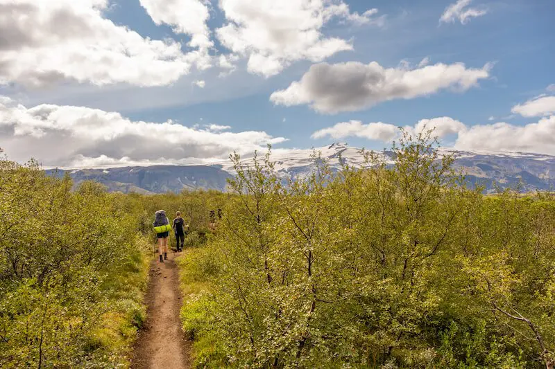 The Iceland Trail - Þórsmörk Husadalur